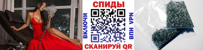 Купить закладки  Онега  Бутират буратино 