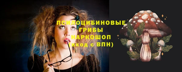 твердый Нефтекумск