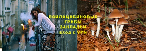 твердый Нефтекумск