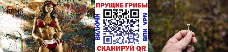 Галлюциногенные грибы мицелий  Купить  Онега 