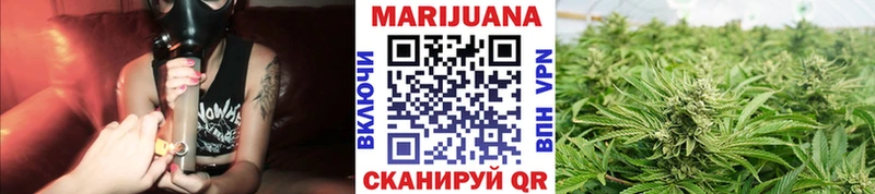 Купить  Онега  Каннабис Amnesia 